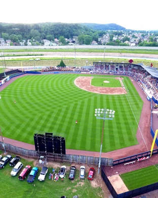 Georgia Bulldogs Baseball