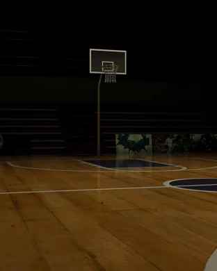 PPA Tour: Atlanta Pickleball Championships