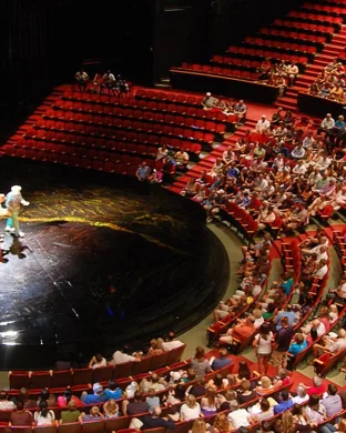 Cirque du Soleil - Luzia